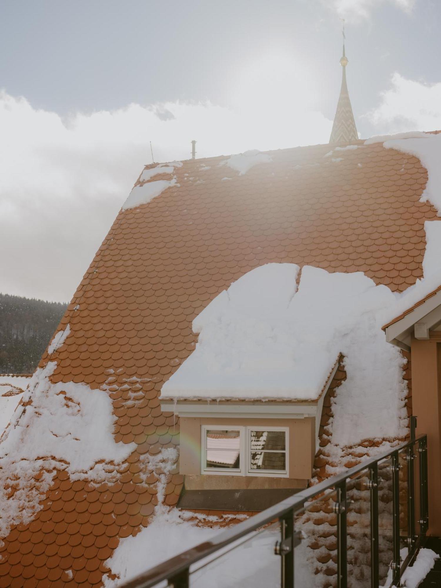 1280 Krone Geisingen Exteriér fotografie